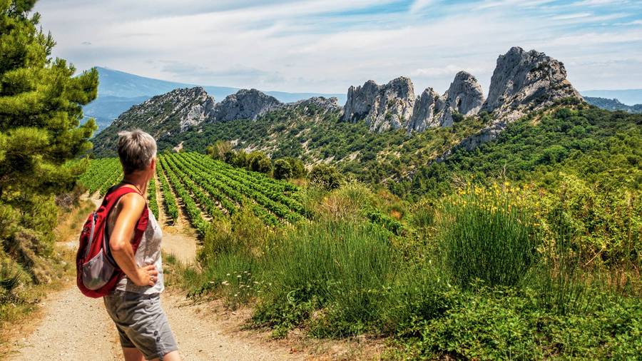 randonneuse dans les Dentelles de Montmirail